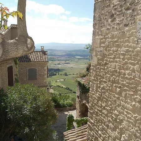Cypres Du Paradis A